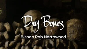 Dry Bones