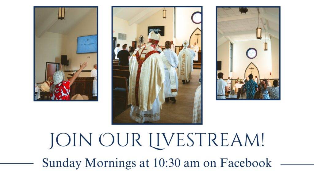 Join Our Live Stream! (2)
