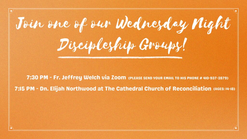 Bible Studies (3) (1)
